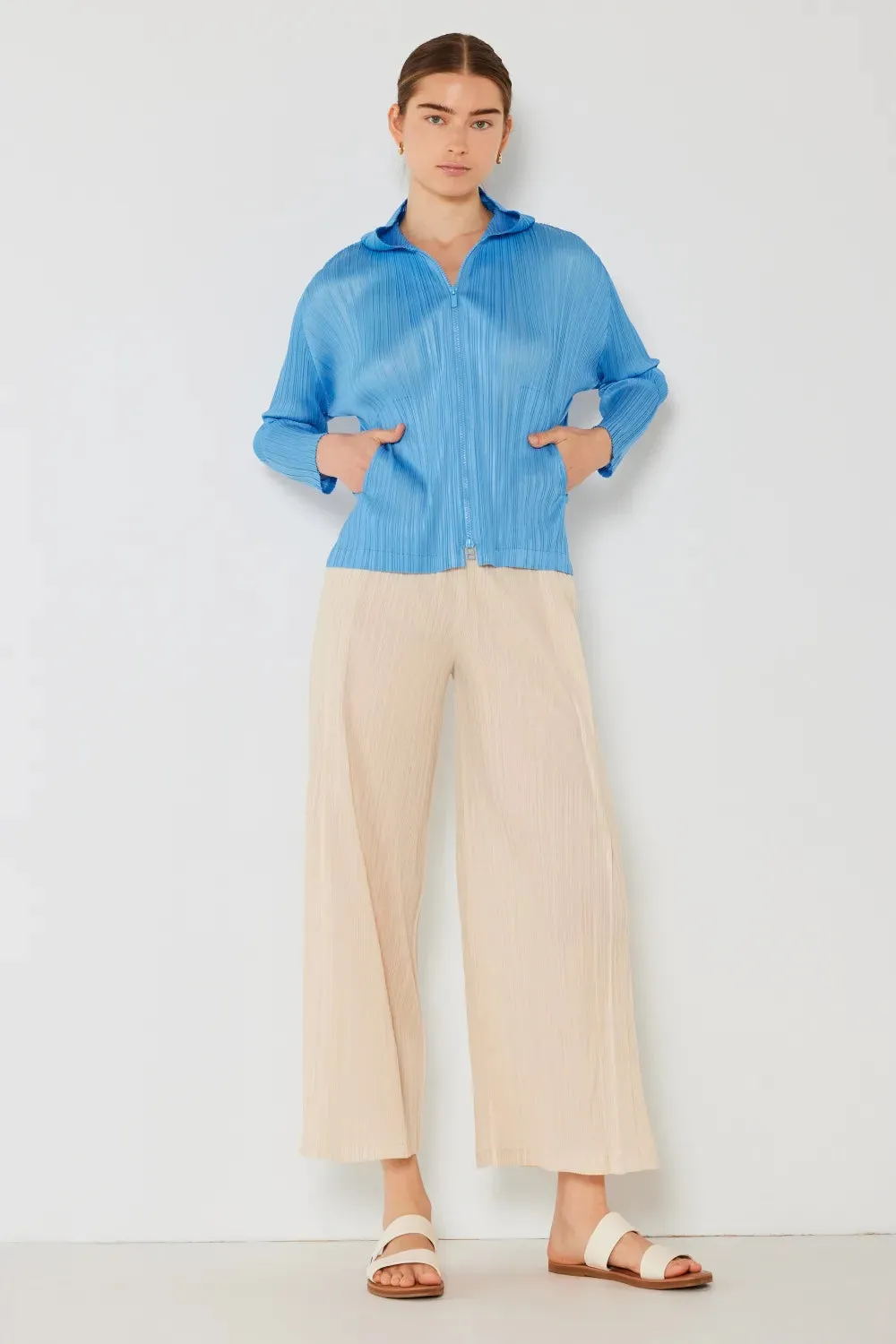 ed Wide-Leg Pants with Side Pleat Detail